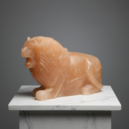 Lion Face Set (2 Different Faces)