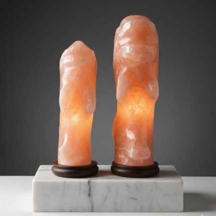 Elegant Decorative Fish Set