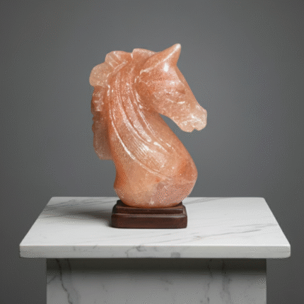 Horse Face Set (2 Different Faces)